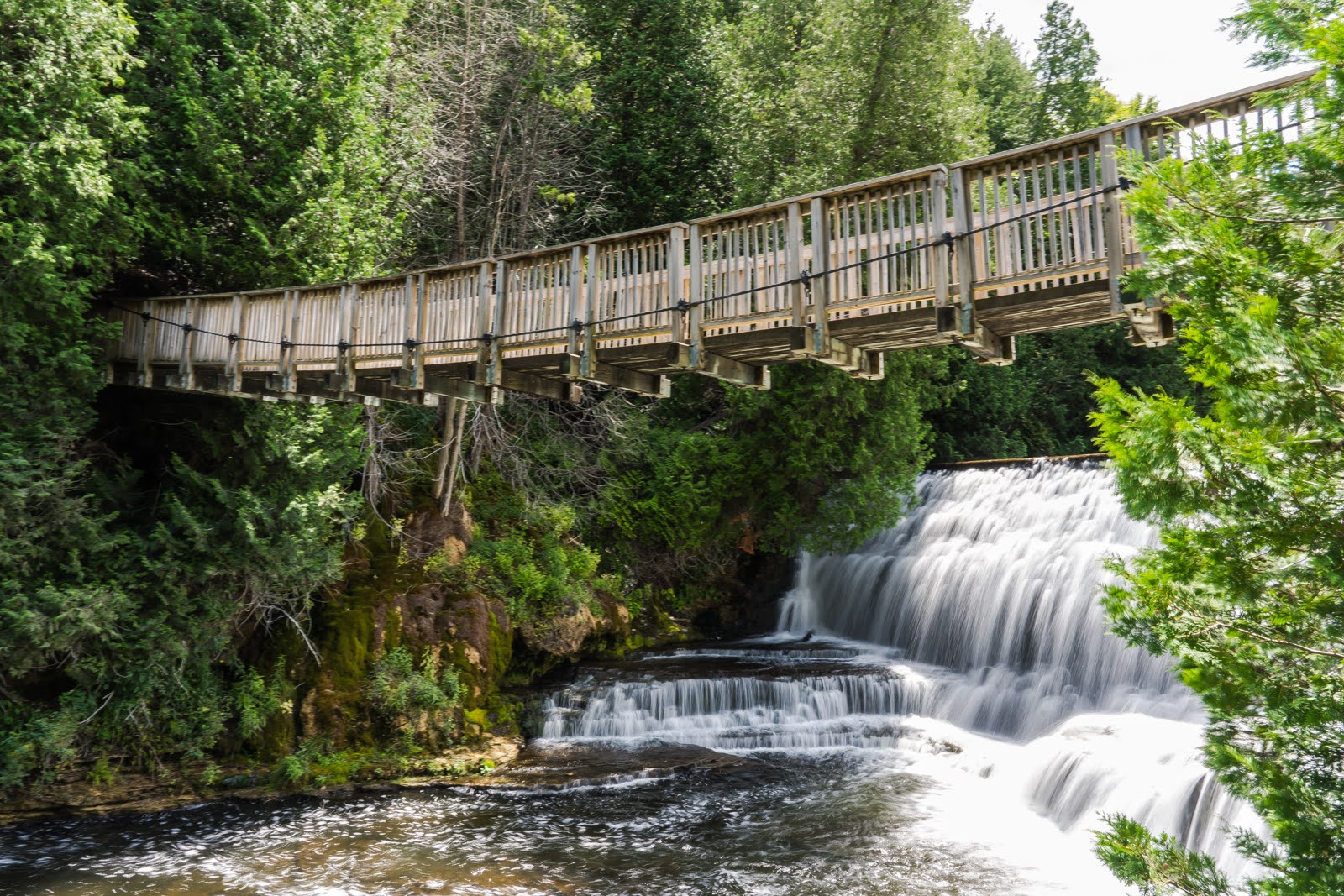 A Summer Escape At Belfountain Conservation Area